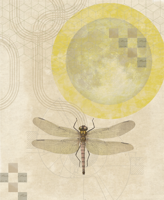 Fly me to the moon