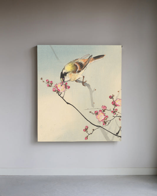 Zangvogel op een bloesemtak