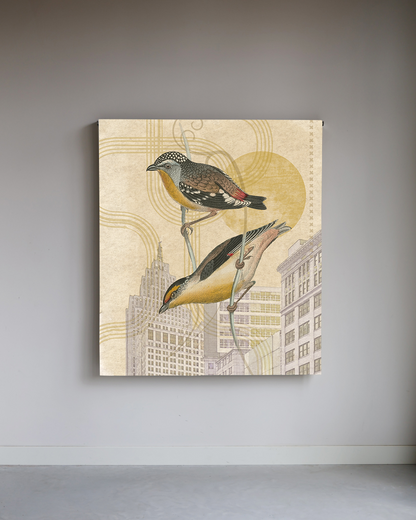 Sunset city birds