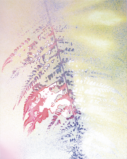Fern