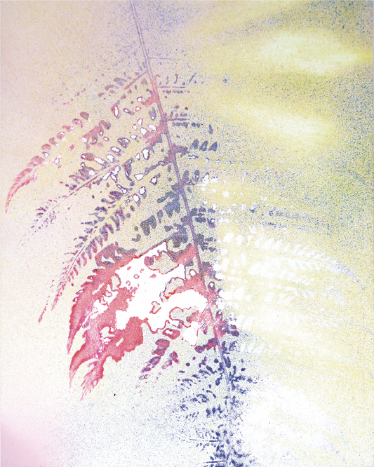 Fern